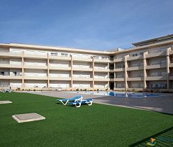 Barracuda Oura Dream Apartment